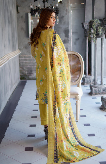 Alzohaib CBL-V2-24-06 Online Shopping